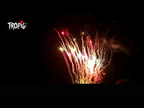 Πυροτεχνήματα 220 βολών για θέαμα χωρίς κρότο TB412 ANIMAL FRIENDLY