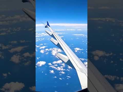 Aboard the Novespace ZeroG airbus a310 ✈️The experience gives the sensation of zero gravity