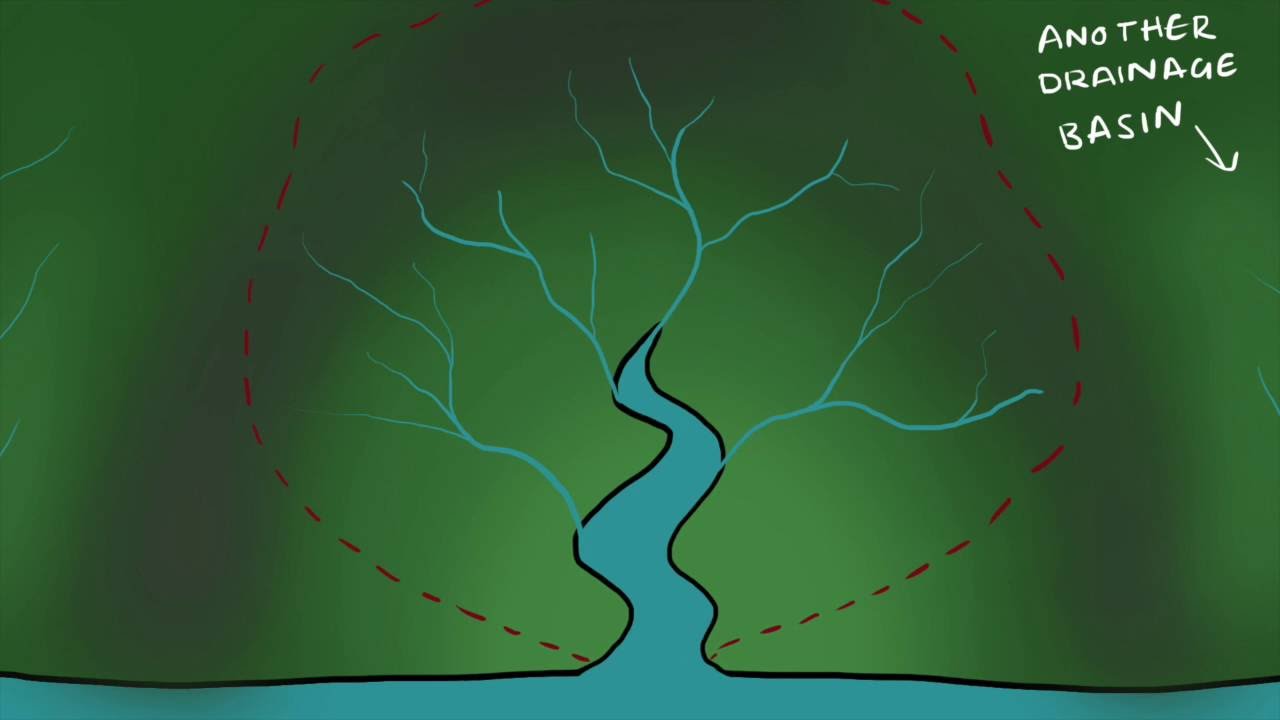 Drainage basin hydrological cycle