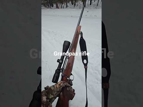 Subtitles and closed captions