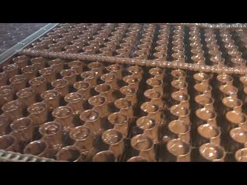 Chocolate Covered Almonds