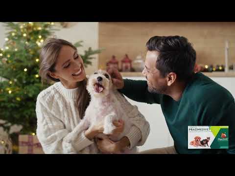 Febacip plus tablet, 10 x 10 tablets