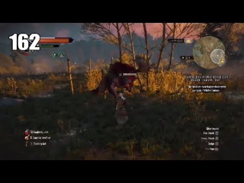 Let's Play Witcher 3 Wild Hunt Part 162