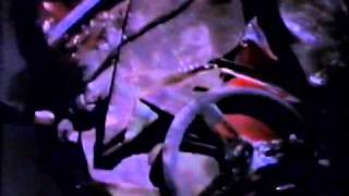 Luxuria - 12 - Beast Box