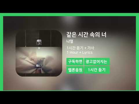 아이콘