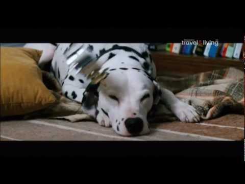 Sky Cinema Family HD Italy Disney Movies Advert 2013
