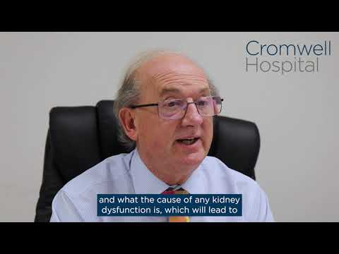 Dr Andrew Palmer explains what nephrology means | Cromwell Hospital