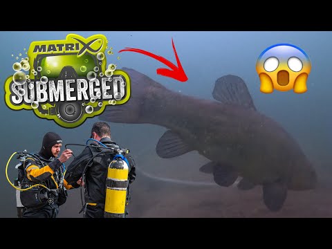 You will NEVER feed your bait this way EVER AGAIN! 😱🤯