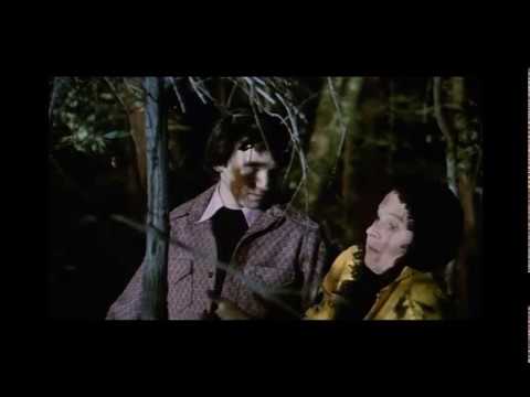 Harold and Maude (1971) – Isn’t it wonderful? All around us, living things!