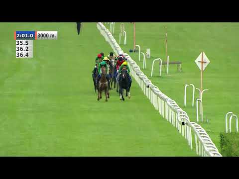 09.08.2020 (D22; G5; Tor: 2,6; 31°C) Derby Arabskie - (kat.A)