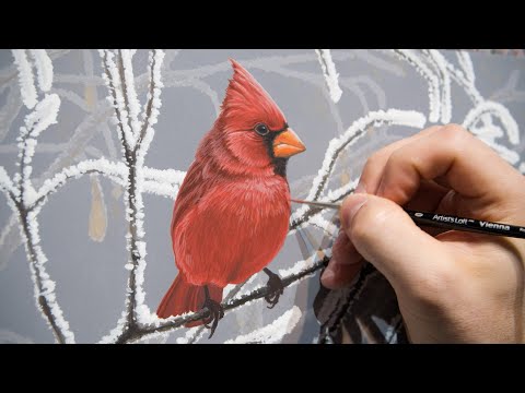 Painting a Cardinal  - Timelapse
