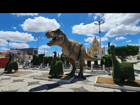 🐐 Barra de Santa Rosa, Paraíba: Polo da Caprinocultura e o Charme da Praça dos Animais