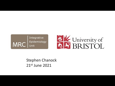 IEU Seminar: Stephen Chanock