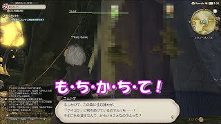 【FF14】実況PART13　新生エオルゼア・メインクエスト (パッチ2.0) その12 ～シルフの森へ【ファイナルファンタジー14】PC版