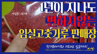 임실고추가공 판매장 고춧가루,건고추 시세 알아봤습니다.자외선살균까지 깨끗하게 관리되는 곳이에요