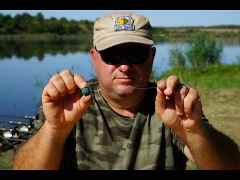 Mincinosii - 1 octombrie 2017