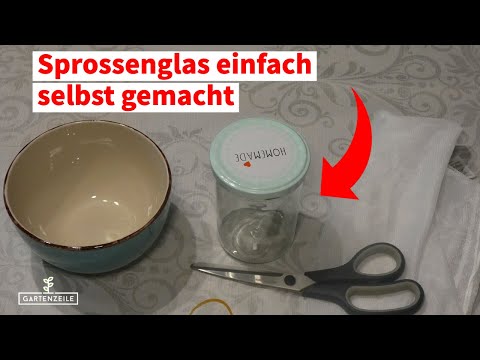 DIY Sprossenglas selber machen - So gehts einfach und günstig in wenigen Minuten!