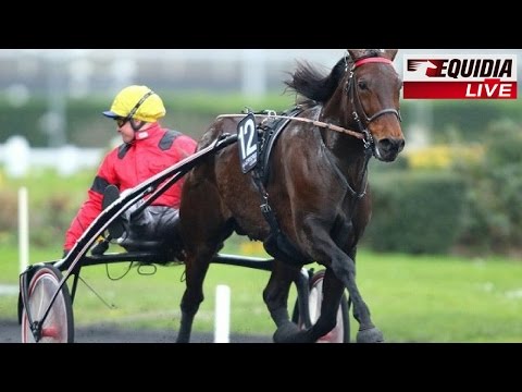 PRIX D'AMÉRIQUE 2016 : BOLD EAGLE
