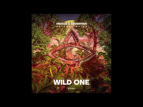 Meikle & Severman feat. Anthony Meyer - Wild One (Extended Mix)