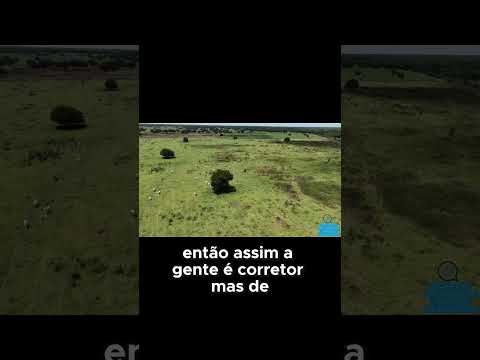 Essa fazenda em Janaúba/MG está à venda — veja o potencial