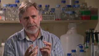 The Science of Mindfulness