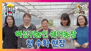 오늘부터 허브 농사 1일! 허브 농장 다이어리