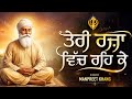 New Punjabi Song ਤੇਰੀ ਰਜ਼ਾ ਵਿੱਚ Teri Rajan Vich Dharmik Song Waheguru Ji Pun