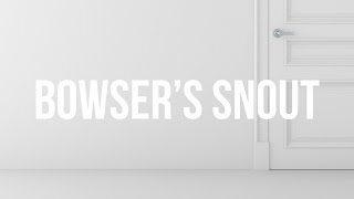 Mr. Mitch - Bowser's Snout