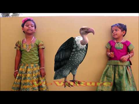Learn Birds Name for Kids 3D Effects | Alphabets A to Z Birds with Images