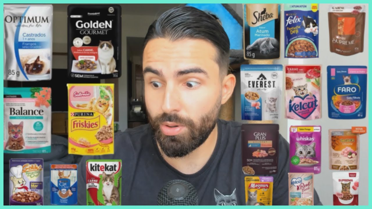 SACHÊS BONS E BARATOS PARA GATOS (2024)