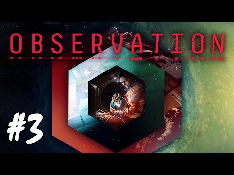 Observation - Part 3