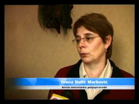 Mlađan Dinkić i Ivana Dulić Marković - Tribina u Perlezu 07 02 2012