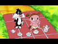 Baby Looney Tunes O Problema Do Larry 1