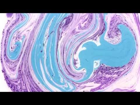 David Tort & David Gausa - Dizzy