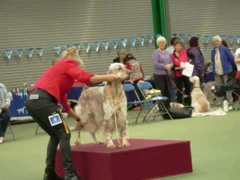 ESA 60th ch show Parade of Champions 8