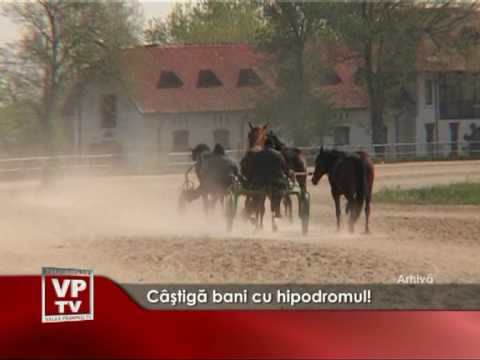 Câştigă bani cu hipodromul!