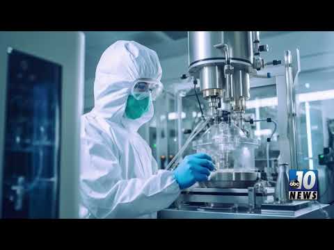 LIVERWORT EXTRACT SLOWS BRAIN TUMOR GROWTH