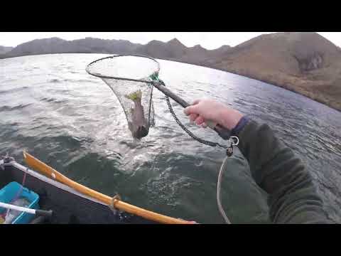 A GOOD DAY ON THE BOOBY FLY ( ORANGE ) IN THE BOAT WINTER 2024