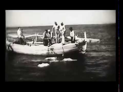 Daleko su moji škoji - Klapa Šibenik