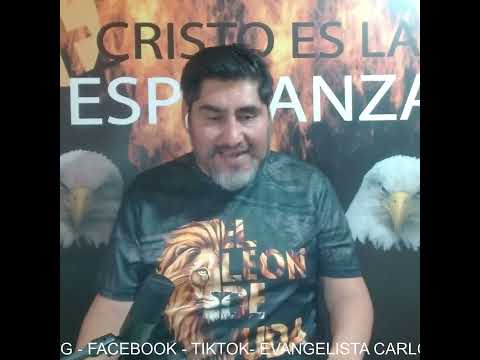 PROGRAMA TIEMPOS FINALES