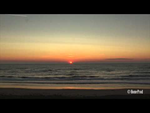 Where Roses Grow Resurrection Band