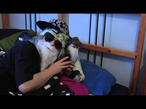 FRESH Ds FRESHE DEKO