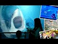 Wisata Edukasi | Petualangan Bawah Laut | Naik Kapal Selam hingga Lihat Mermaid | Jakarta Aquarium