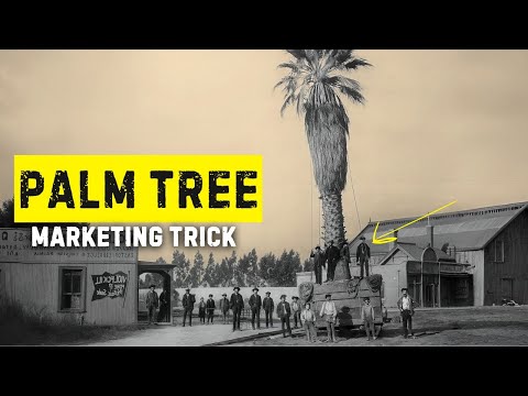 How Palm Trees took over LA