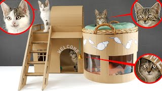 How to make Amazing Kitten Cat Pet House from Cardboard