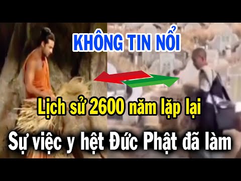 Lịch sử 2600 lặp lại năm 2025, Sư Minh Tuệ có nhiều điểm trùng khớp với Đức Phật