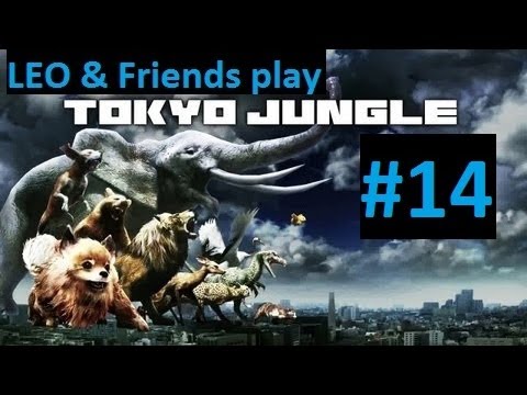 LEO & Friends play Tokyo Jungle   Part 14   Kangaroo and cat alliance