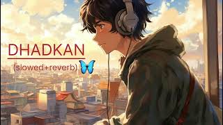 Download lagu Dhadkan song (Slowed Reverb) || Palak Muchhal || Jubin Nautiyal || mp3