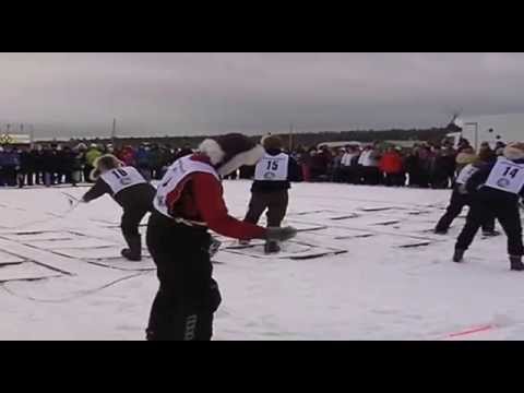 Porokuninkuusajot 2015