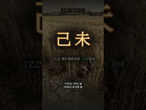 여문 곡식을 거두는 밭 | 기미(己未) 일주